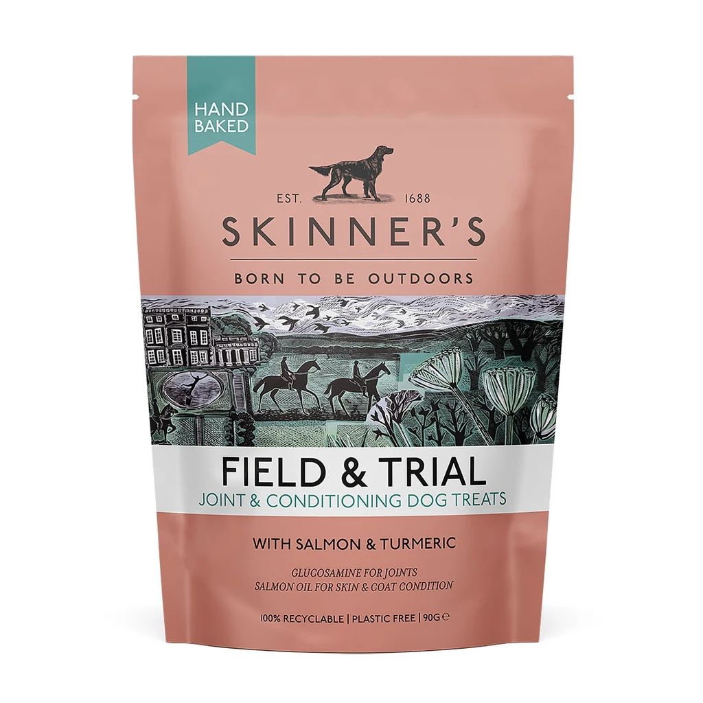 skinners field & trial joint & conditioning treats - salmon & turmeric 90g