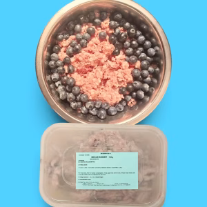 Northern Raw Duck & Blueberry – 454g